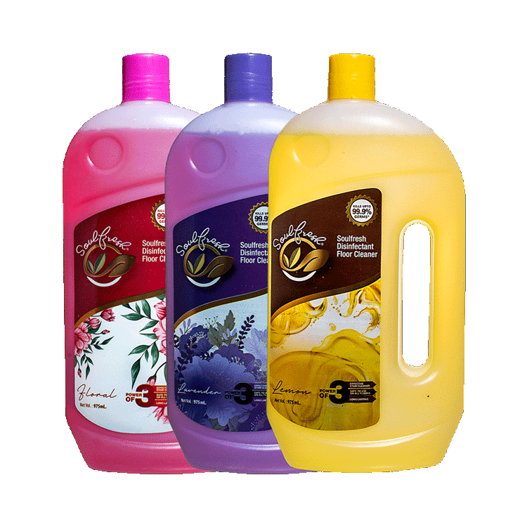 Assorted Pack of 3 Disinfectant Floor Cleaner 975 ml