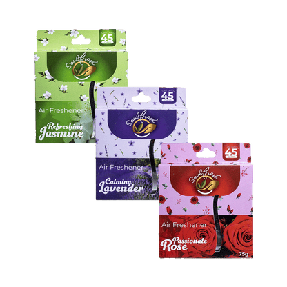 Air Freshener Block Assorted Pack of 3